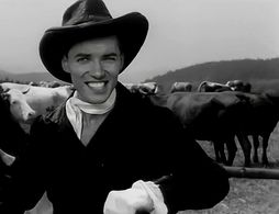 Karel Gott in Karel Gott: Zdvorilý Woody (1963)