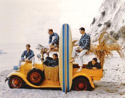Al Jardine, Mike Love, Brian Wilson, Carl Wilson, Dennis Wilson, and The Beach Boys