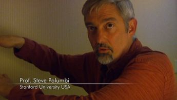 Stephen R. Palumbi in The End of the Line (2009)