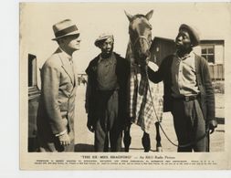 William Powell and Bob Tansill in The Ex-Mrs. Bradford (1936)