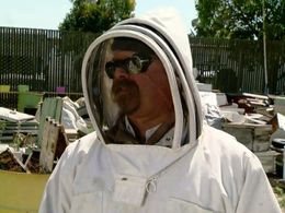 Jamie Hyneman in MythBusters (2003)