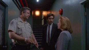 Gillian Anderson, David Duchovny, and Ernie Lively in The X-Files (1993)