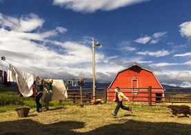 Kyle Catlett in The Young and Prodigious T.S. Spivet (2013)