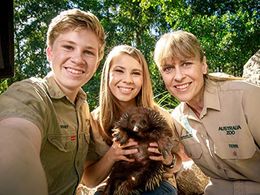Terri Irwin, Bindi Irwin, and Robert Clarence Irwin in Crikey! It's the Irwins (2018)