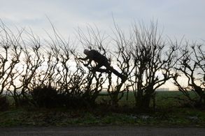 Andy Goldsworthy in Leaning Into The Wind (2017)