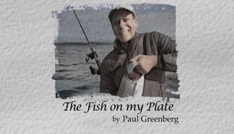 Paul Greenberg in Frontline (1983)