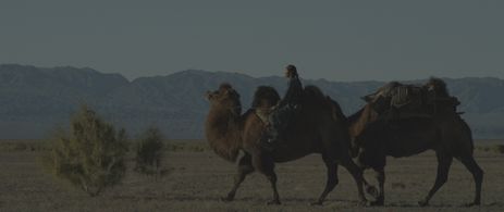 Bayra Bela in Blue Destiny (2020)