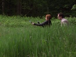 Neil Grayston and Allison Scagliotti in Eureka (2006)