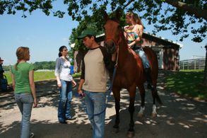 Claire Forlani, Julianne Michelle, Stephen Colletti, and Carson Brown in Shannon's Rainbow (2009)