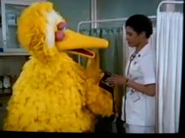 Iliana Guibert caring for Big Bird
