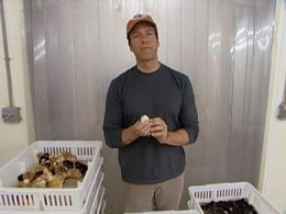Mike Rowe in Dirty Jobs (2005)