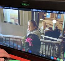 Daily from Royal Blossom