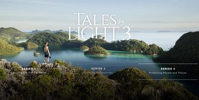 Tales By Light