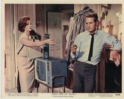 Paul Newman and Geraldine Page in Sweet Bird of Youth (1962)