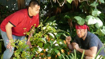 Filming on the set of Doritos commercial