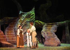 Into the Woods (2014)