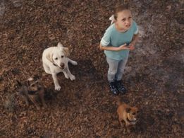 Riley Madison Fuller, Salsa, Parker, and Mac in Space Pups (2023)