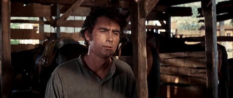 Robert Porter in Firecreek (1968)