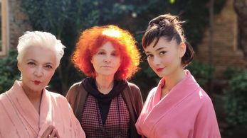 ''Force Migration of Butterflies''