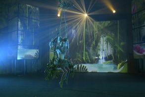 Ava as Ella Piccolo performing the koala pantomime on the dance trapeze.