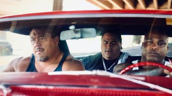 Lehi Makisi Falepapalangi