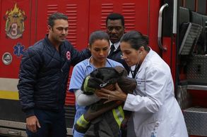NBC, Chicago Fire - 