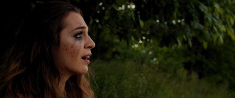 Normandy Woods Music Video