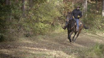 Steven Feinberg & Cruiz Feinberg