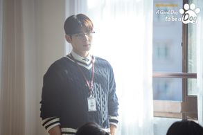 Cha Eun-Woo in A Good Day to be a Dog (2023)