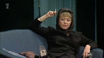 Vlasta Zehrová in Popel a pálenka (2001)