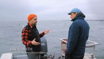 Paul Greenberg in Frontline (1983)