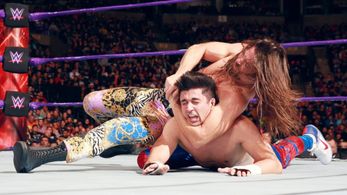 Brian Kendrick and T.J. Perkins in WWE Hell in a Cell (2016)