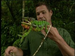 Jeff Corwin in The Jeff Corwin Experience (2001)