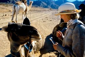 Sophie Neville interviewing a camel whilst crossing the Sahara Desert
