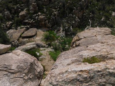 Tucson Location