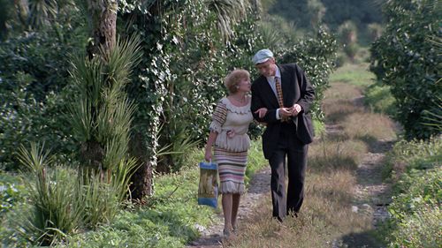 Lyudmila Gurchenko and Aleksandr Mikhaylov in Love and Doves (1985)