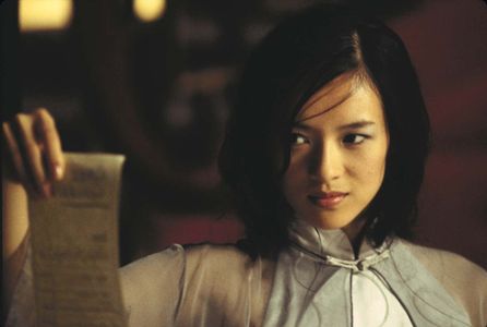 ziyi zhang in Visa 