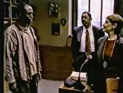 Det. Guinevere McGorry (HBO series: Oz)