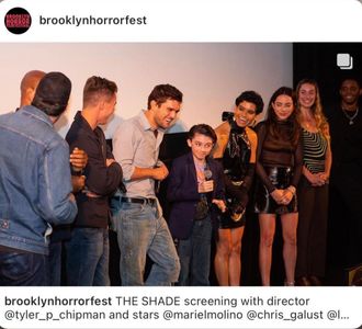 Post screening Q&A for The Shade