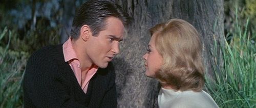 Sandra Dee and Philippe Forquet in Take Her, She's Mine (1963)