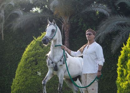 Aboelhassan Abbas