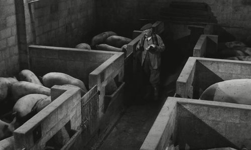 Noël-Noël in The Old Guard (1960)