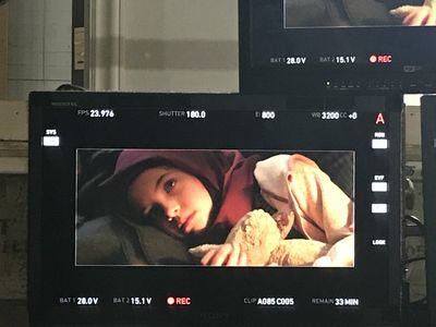 Set life