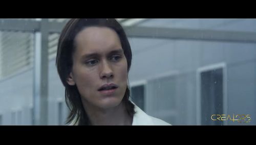 Pellek