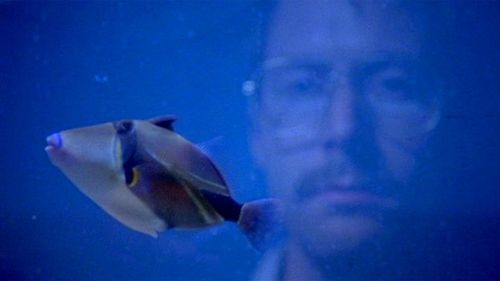 Andrew Swant as Jeffrey Dahmer (The Jeffrey Dahmer Files)
