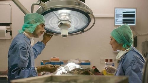Clara Segura and David Verdaguer in Night and Day (2016)