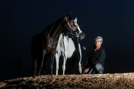 Aboelhassan Abbas