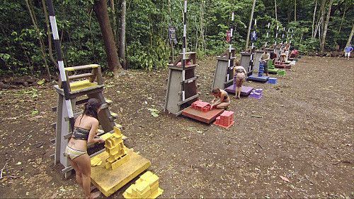 Colby Donaldson, Jerri Manthey, Rupert Boneham, Amanda Kimmel, Candice Cody, Parvati Shallow, and Russell Hantz in Survi