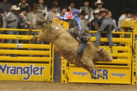 He Rides Bulls