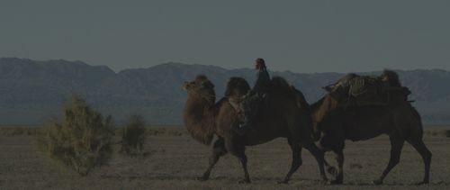 Bayra Bela in Blue Destiny (2020)